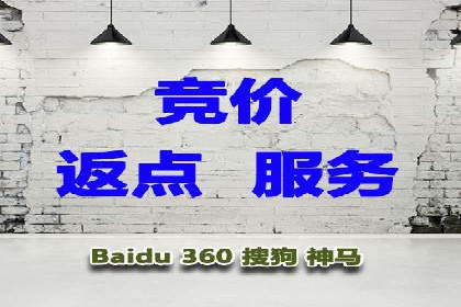 SEM代运营机构案例分析：优化策略与执行